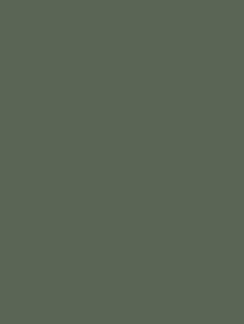 Coverstyl NH08 Forest Green Couleur Silk Prestige 🟢