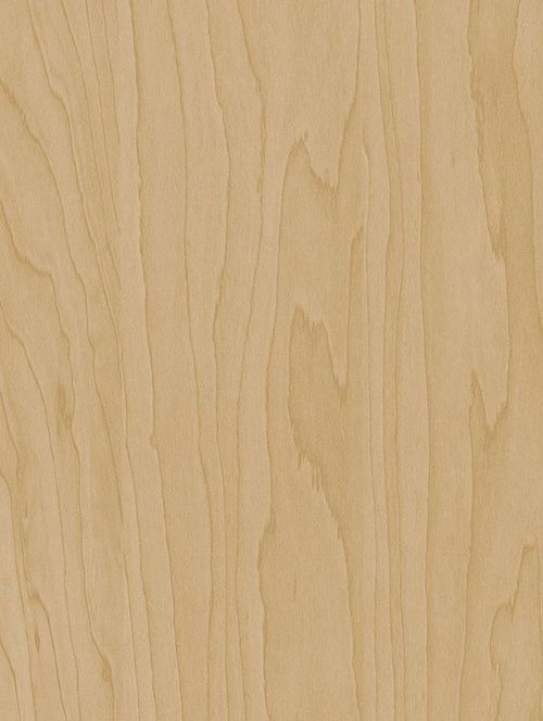 Coverstyl CT20 Gold Beige Birch  - Bois 🟠