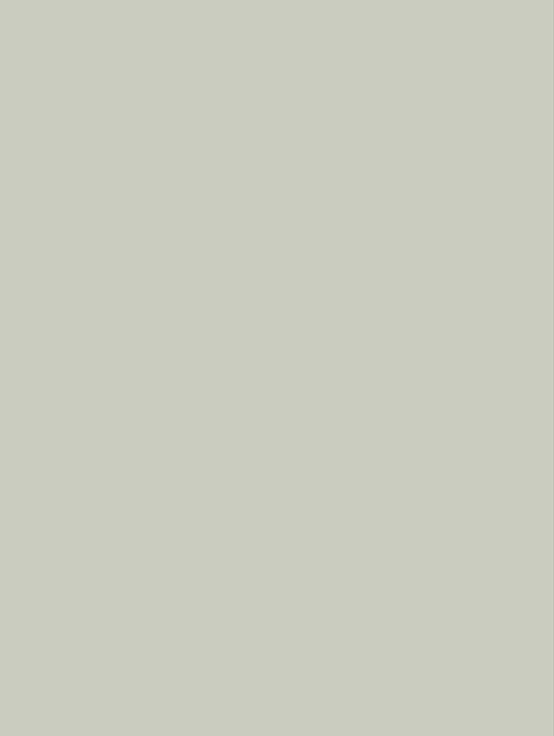 Coverstyl NH21 Soft Green - Couleur