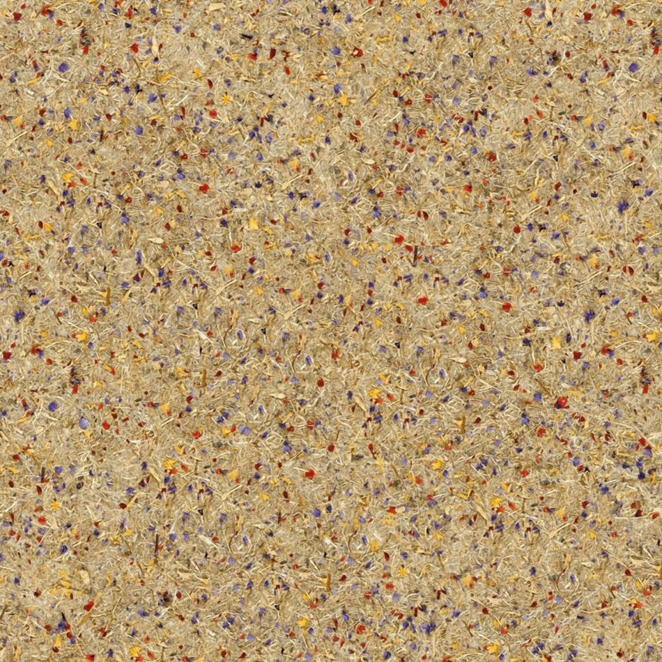 Cover Styl NL34 Wild - Organique / Organic Standard 🟢