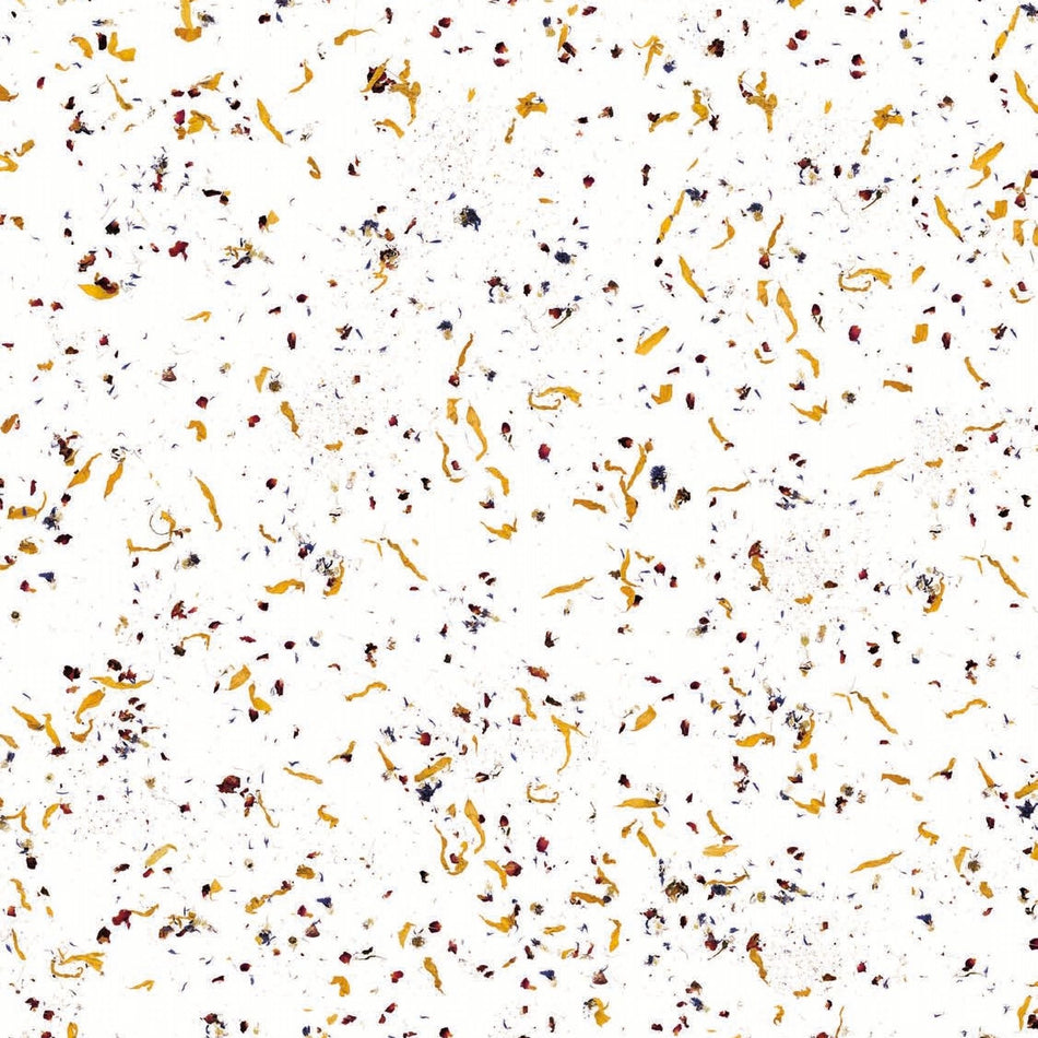 Cover Styl NL39 Petal - Organique / Organic Standard 🟢