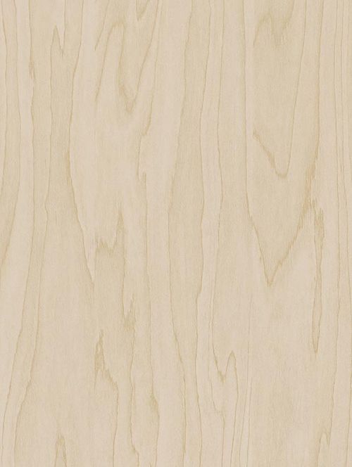 Coverstyl CT19 Gold Pale Birch  - Bois 🟠