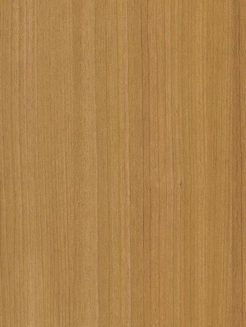 Coverstyl CT22 Honey Birch  - Bois 🟠