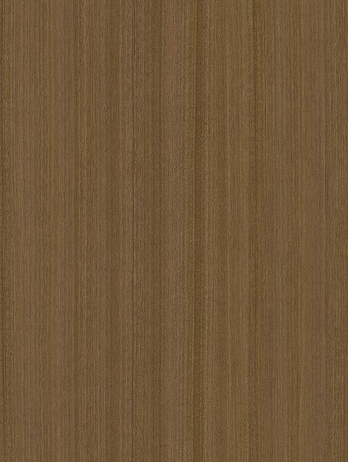 Coverstyl CT56 Brown Palm Tree  - Bois 🟠