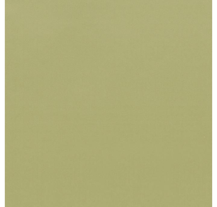 Coverstyl rm19 - Ligh olive grain - Couleur Unie