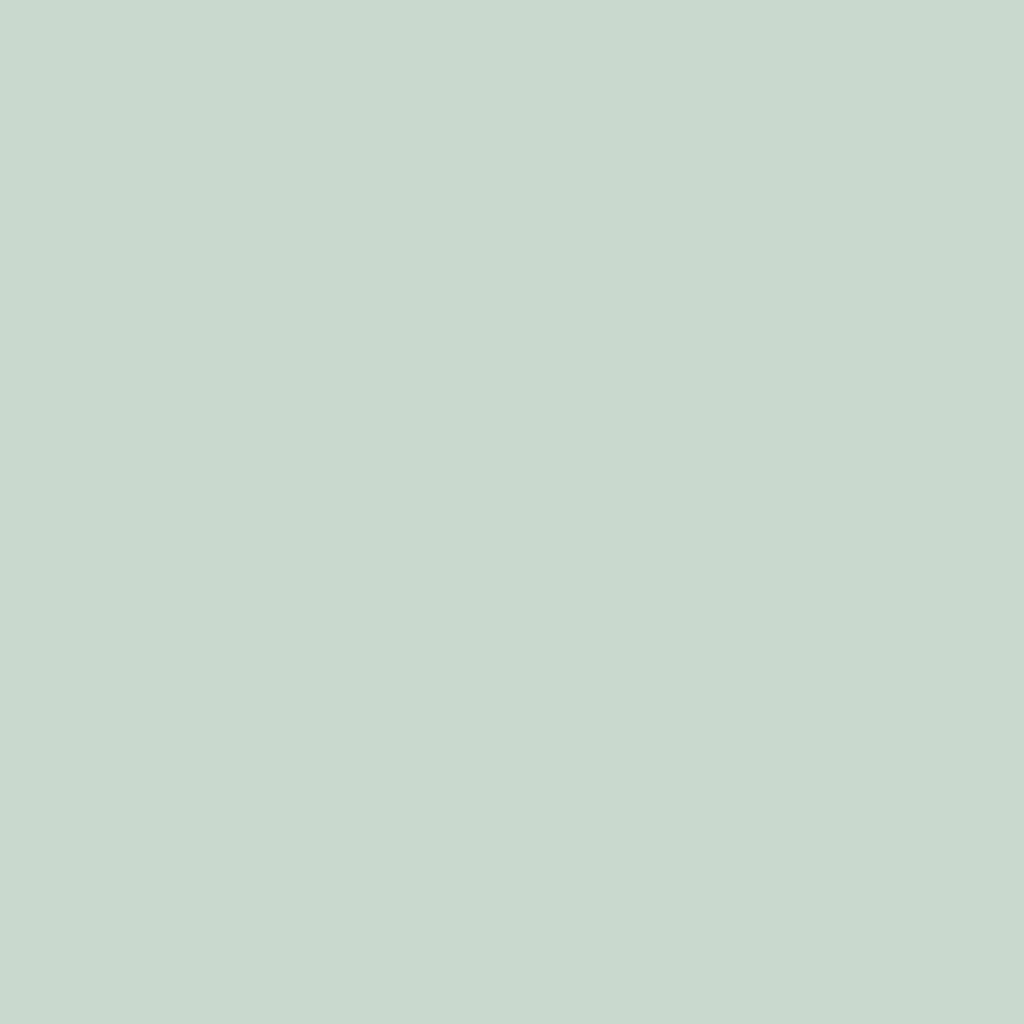Coverstyl NE54 Clean mint - Couleur