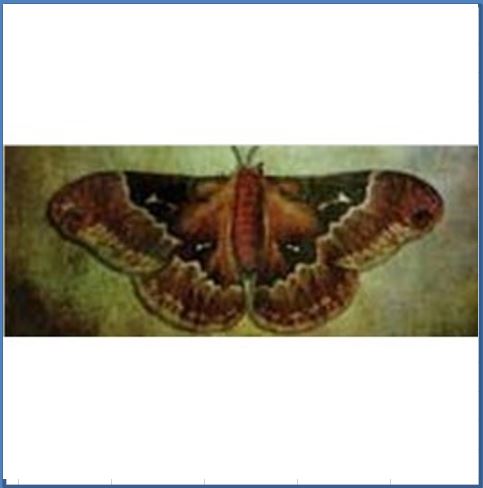 PAPIER PEINT MURAMOUR ANTICO